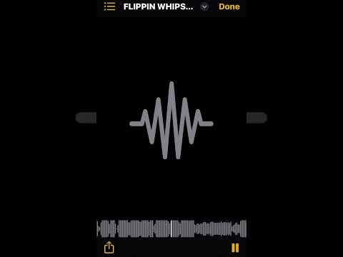 Luh Ai - FLIPPIN WHIPS (unreleased)