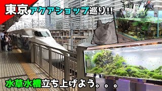 水草水槽立ち上げます！2019年東京アクアショップ巡りダイジェスト(*_*)ｖ