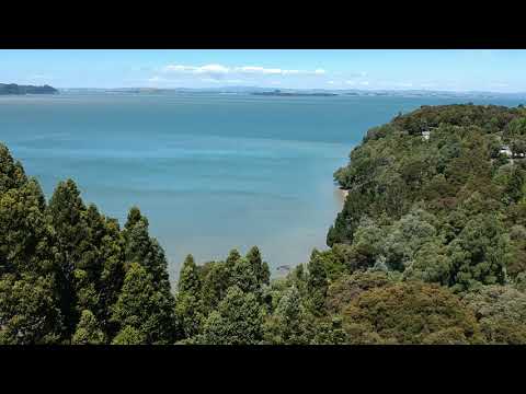 Wood Bay | Titirangi | New Zealand