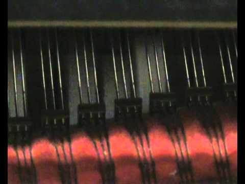 Animal Parade - 1. Entrance: composed and performed by Iain Farrington