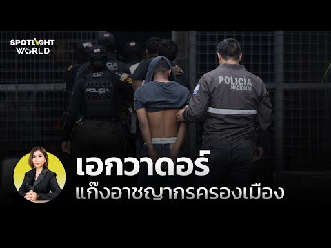 คลิกเพื่อดูคลิปวิดีโอ