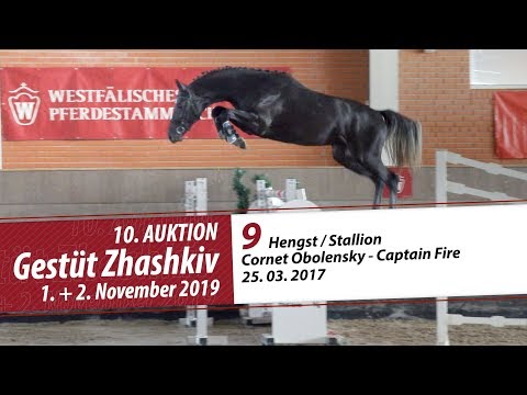 09 Hengst / Stallion v. Cornet Obolensky - CaptainFire