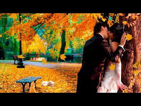 Em là gì trong trái tim anh - Nguyễn Bình Phương