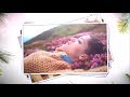 Falling Slideshow Animation In Sony Vegas Pro Modern Slideshow Intro Animation Template