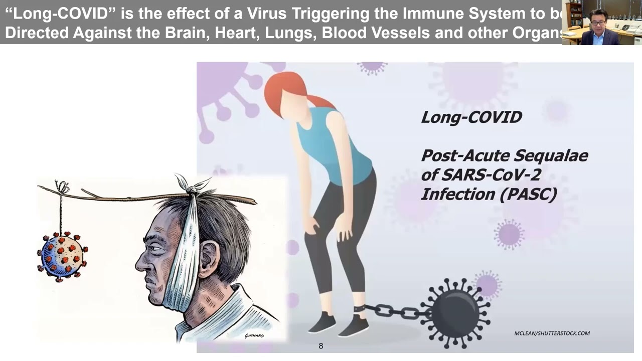 Understanding the connection between infections, the immune system and the brain