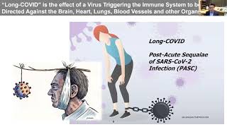 Understanding the connection between infections, the immune system and the brain