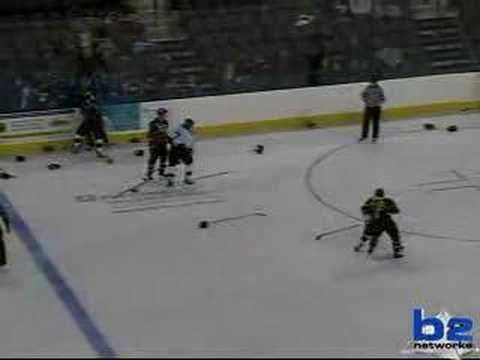 Quad City Mallards Vs. Chicago Hounds Linebrawl