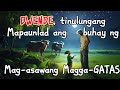 DWENDE, tinulungang Mapaunlad ang Mag-asawang Magga-Gatas