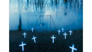 the GazettE   体温 (Taion), 『TRACES VOL 2』, limited edition