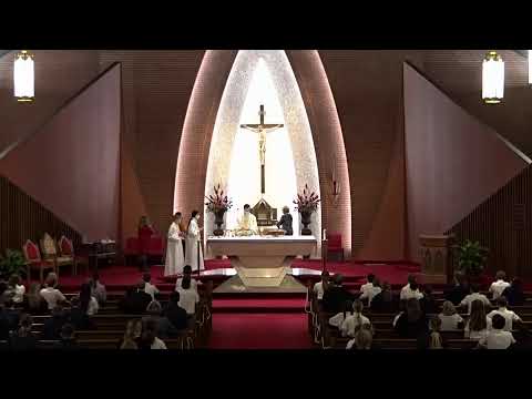 Feast of St. Thomas Aquinas, Thursday  1/28/21 St. Thomas Aquinas Catholic Church Wichita