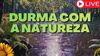 🔴Ambiente NATURAL | SOM para DORMIR MELHOR Todas as NOITES💤