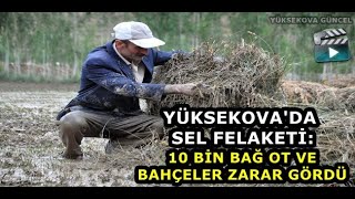 Yüksekova'da Sel Felaketi 10 Bin Bağ Ot Ve Bahçeler Zarar Gördü