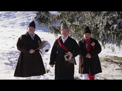 ,,Buna seara oameni dragi !,,