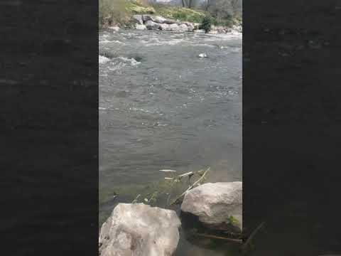 How do humans engineer streams?