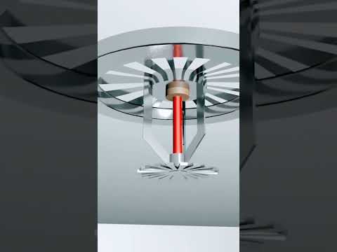 Fire Sprinkler System