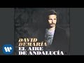 David DeMaría - El aire de Andalucía (Audio oficial ...
