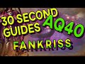 Fankriss the Unyielding - 30 Second Guides - AQ40
