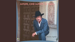 El Mosquito Cariñoso