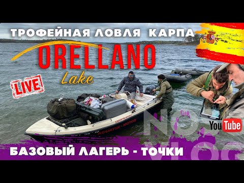 Трофейный карпфишинг на озере Орельяно, вторая экспедиция, выпуск 2
