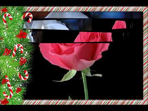 Art by sameena ,shahina