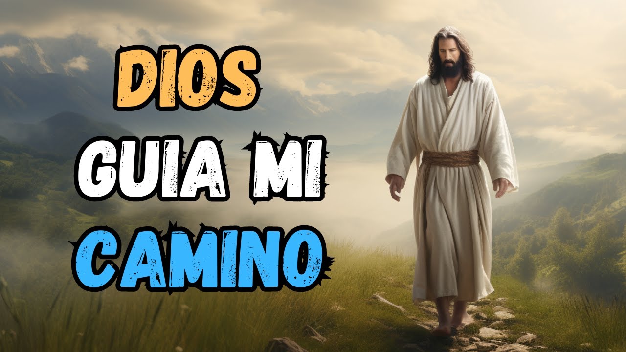 4 SEÑALES  de que VAS por el BUEN CAMINO