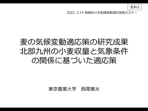 気候変動が小麦栽培を脅かす