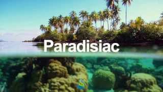 Levitation - More Than Ever People