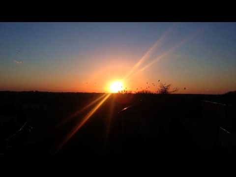 Calculon & Dave Owen feat. Christina Tamayo - Ben Carlos