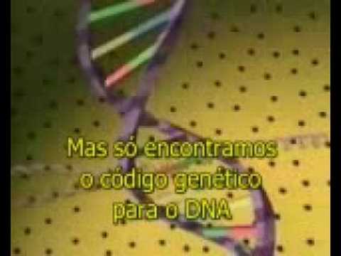 Estrutura de DNA (legendado)