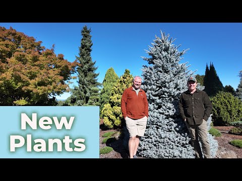 Awesome New Plant Tour at Iseli Nursery