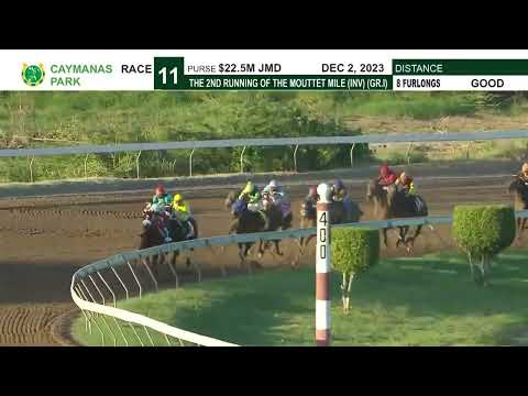 Caymanas Park Limited