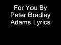 Peter Bradley Adams- For You Lyrics Video