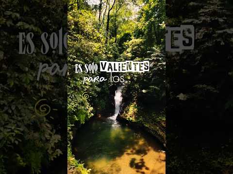 Vive el momento 💚🌳 #turismo #cascadas
