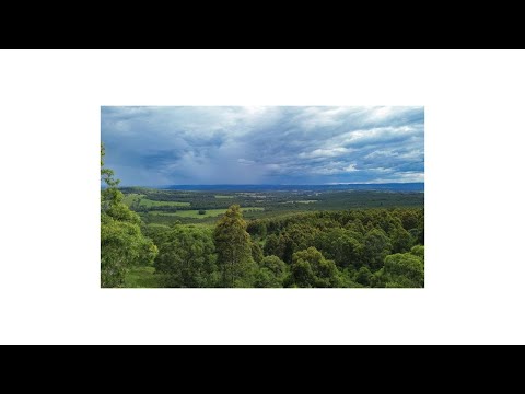 80 Tooloom Street, Legume, NSW 2476, 6房, 2浴, Lifestyle Property