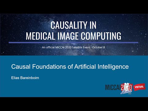 On the Causal Foundations of Artificial Intelligence by Elias Bareinboim