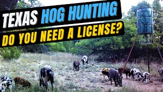 Do you need a hunting license to hunt hogs in Texas?  The most recent restrictions!
