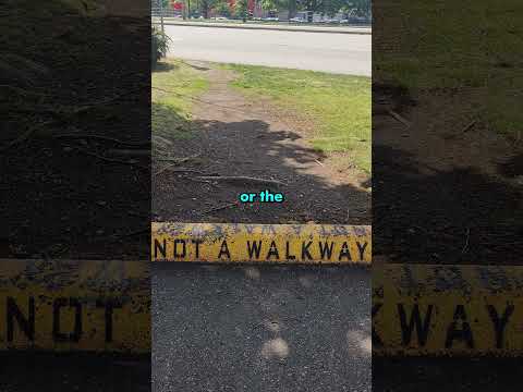 Why People Ignore Paths and Walk Where They Want