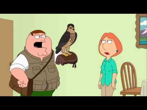 Peter Has a Falcon - Family Guy