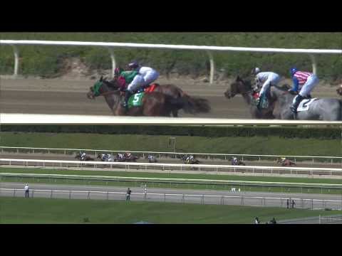 Evening Jewel Stakes $200,000 Winner - Cal-Bred Doinghardtimeagain