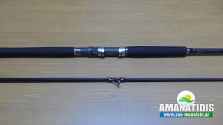 Major craft skyroad shore jigging