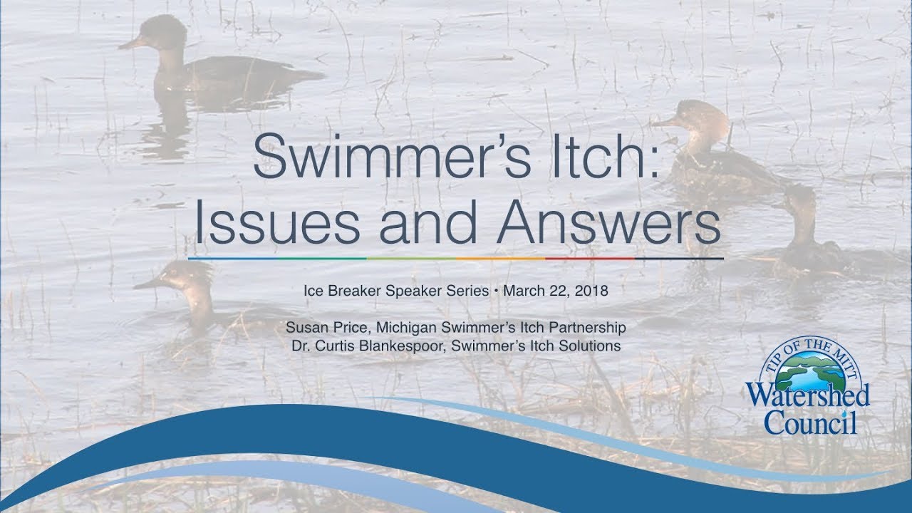 Swimmer's Itch: Issues and Answers Web