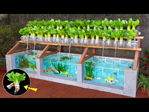 , title : 'Super easy to DIY aquarium combined with growing organic vegetables'