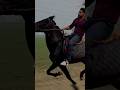 Jab Ghoda Hi Adi Kar Raha Hai Horseriding