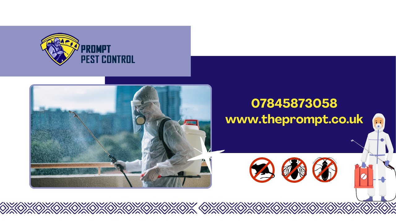 How to Get Rid of Pests Fast in London | Safe & Guaranteed Home Pest Control