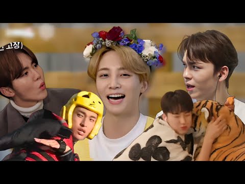 GoSe moments that live in my head rent-free #3