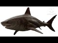 Megalodon Sings Monster