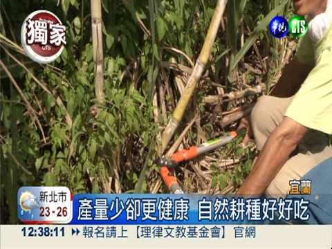 比有機更天然! 落葉.火山灰耕種