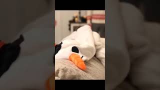 Download lagu Indian Hot Xxx Porn Videos |Sexy Video Full Sexy Film 18 India sexy Movie Sex   Sexy Video mp3