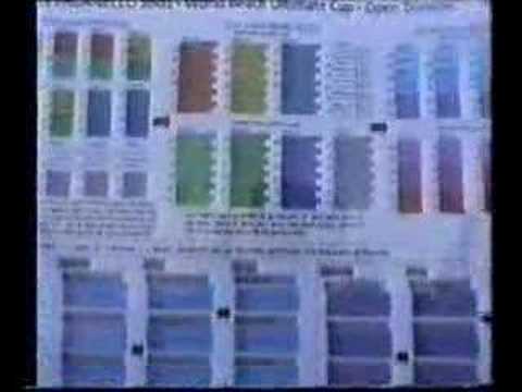 Fano Frisbee - Spaccamadoni Fano @ Paganello 2002