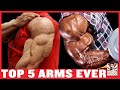 The Best Arms in Bodybuilding (Top 5)
